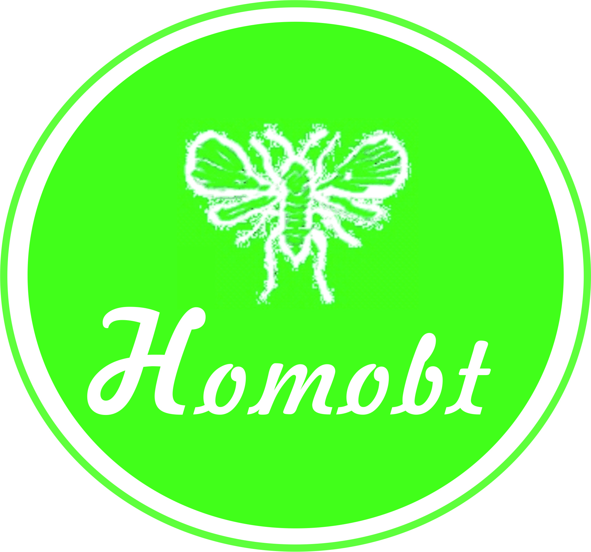 HOMOBT商标 -1.jpg